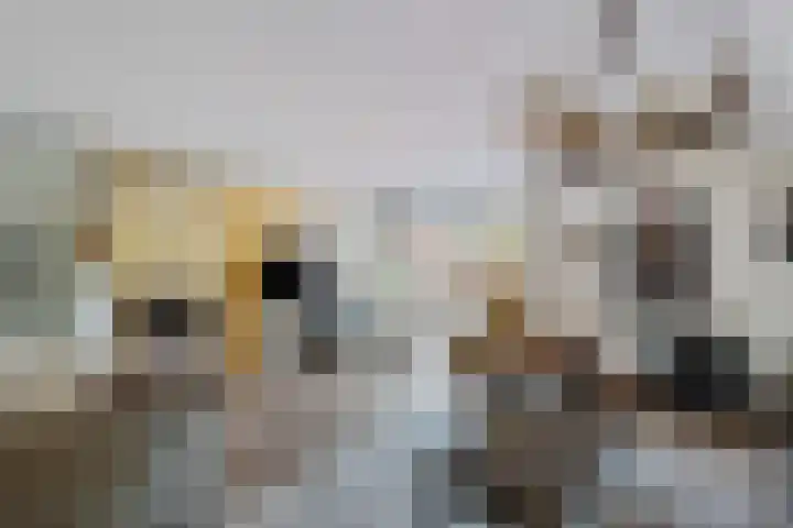 Exloërkijl-Zuid 71 B 2e Exloërmond thumbnail 8