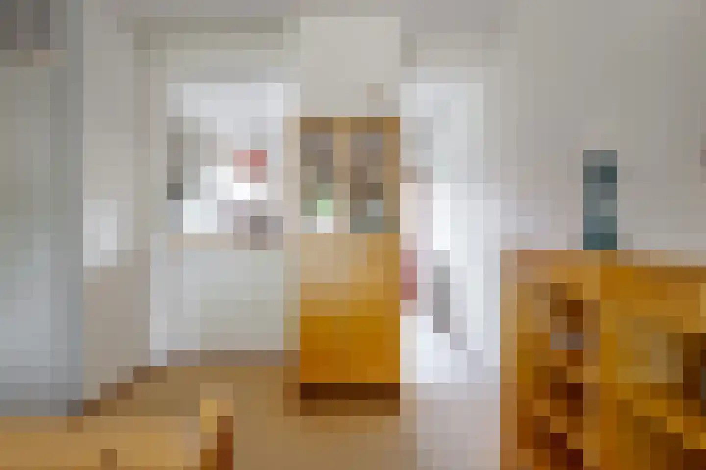 Exloërweg 15 Ees thumbnail 21