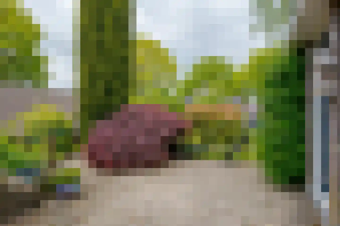 Exloërweg 15 Ees thumbnail 43