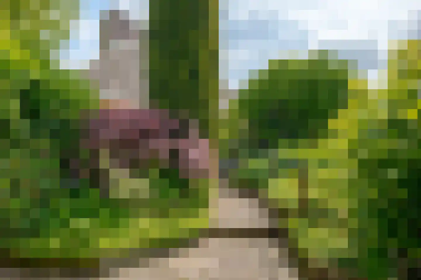 Exloërweg 15 Ees thumbnail 45
