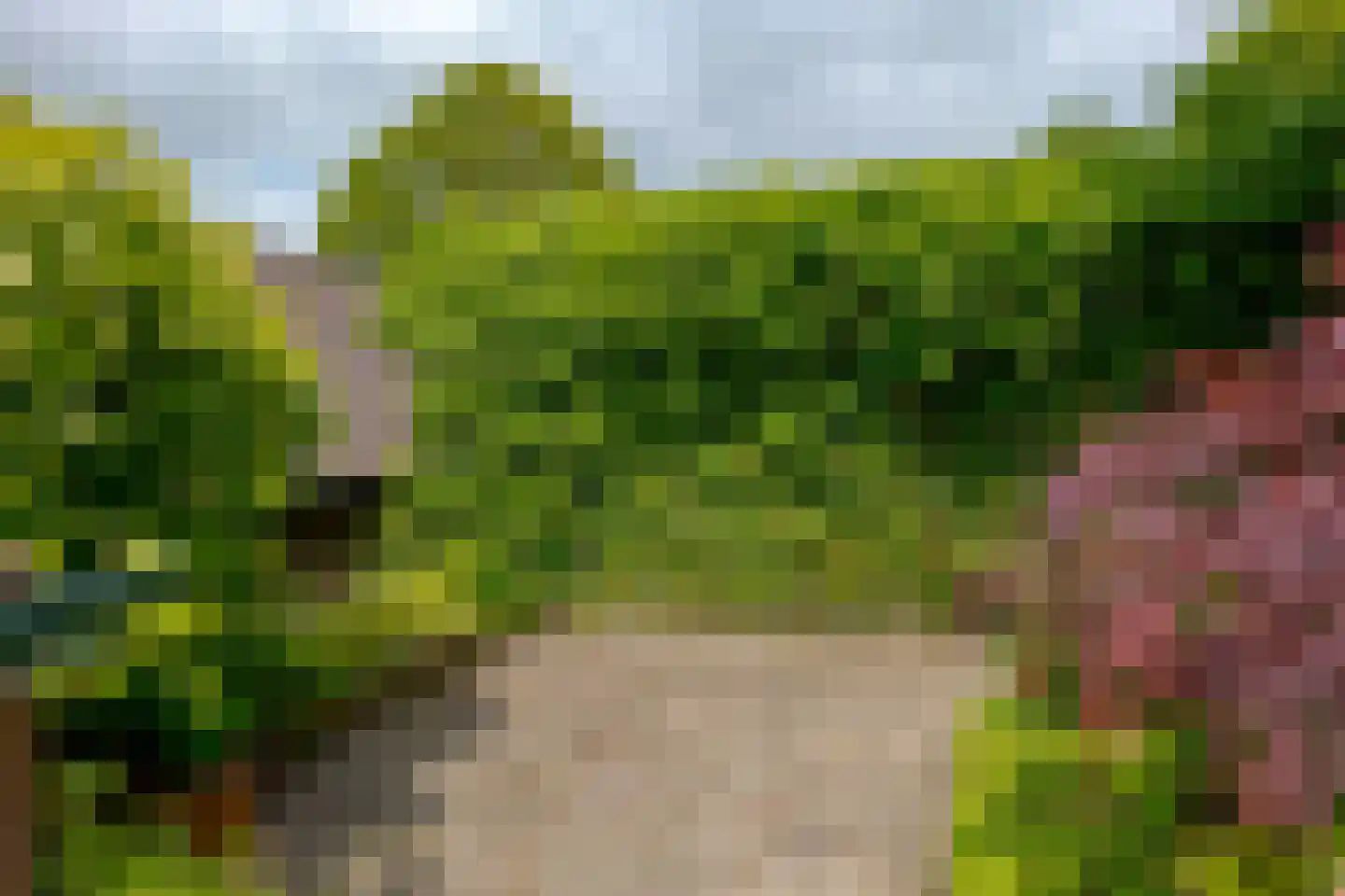 Exloërweg 15 Ees thumbnail 46