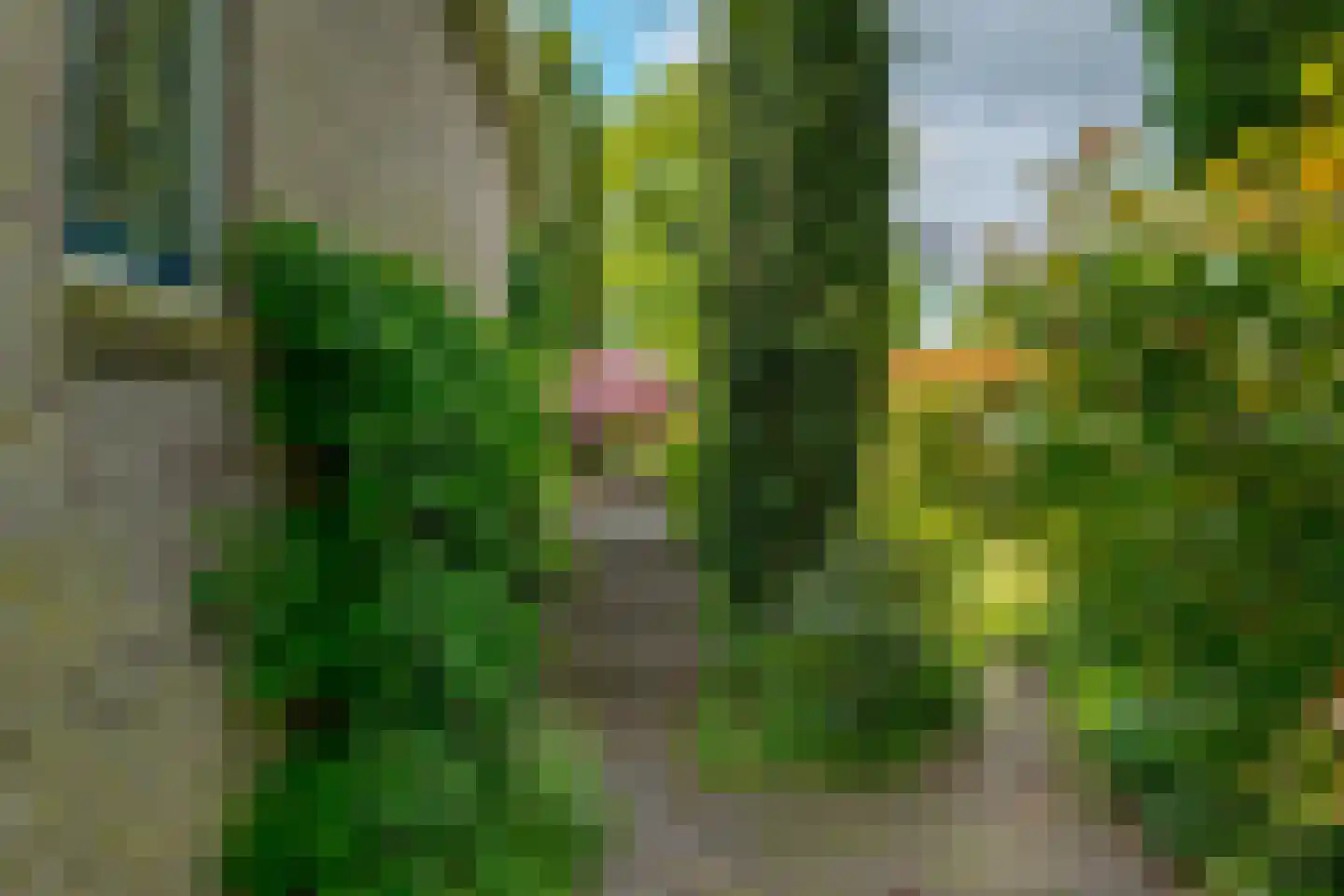 Exloërweg 15 Ees thumbnail 48