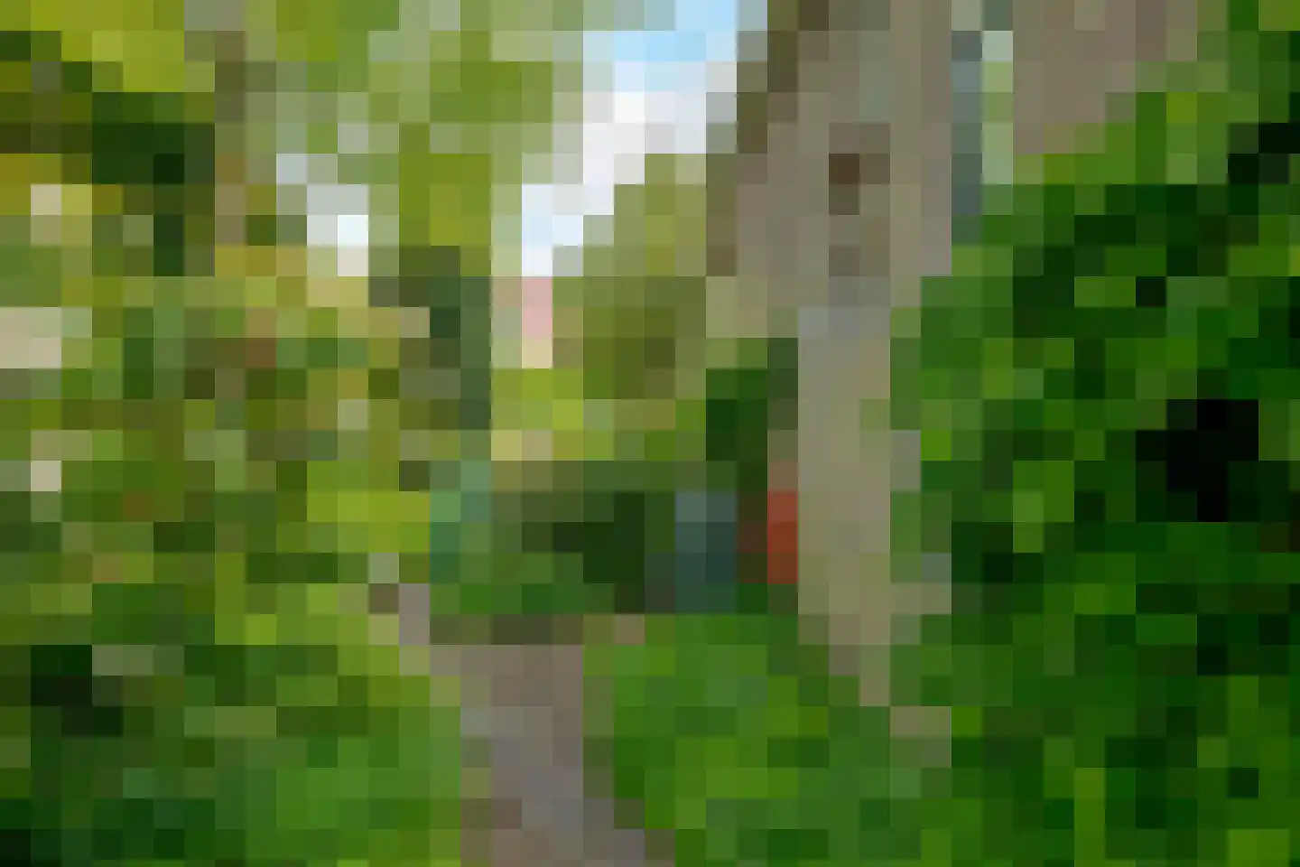 Exloërweg 15 Ees thumbnail 49