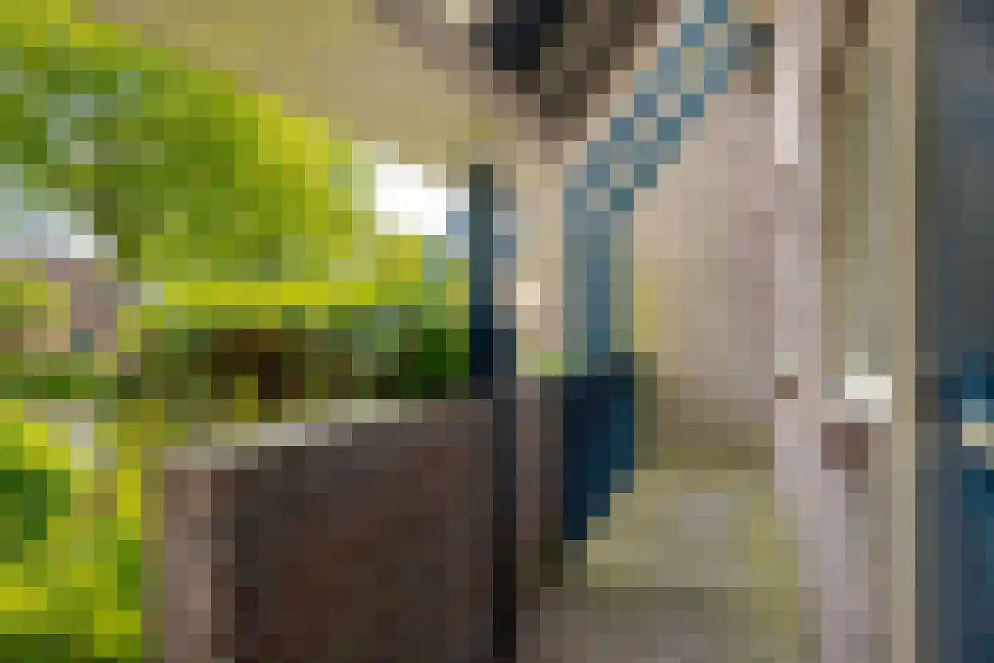 Exloërweg 15 Ees thumbnail 8