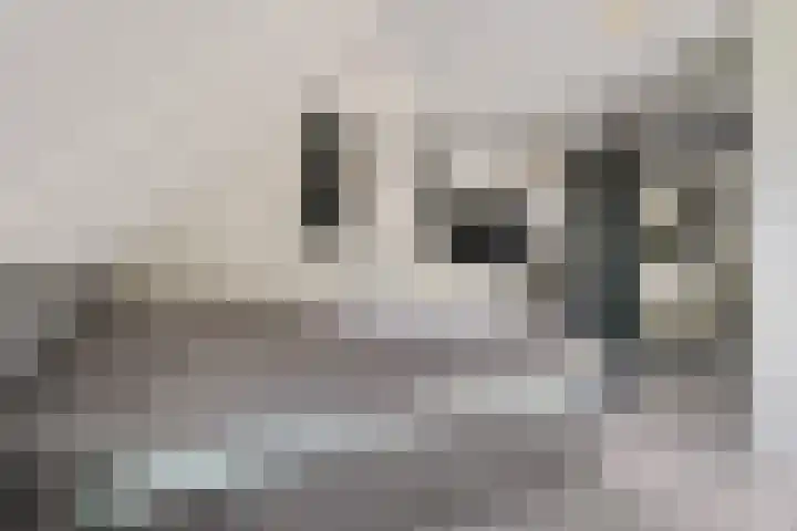 Exloërweg 32 Valthe thumbnail 32