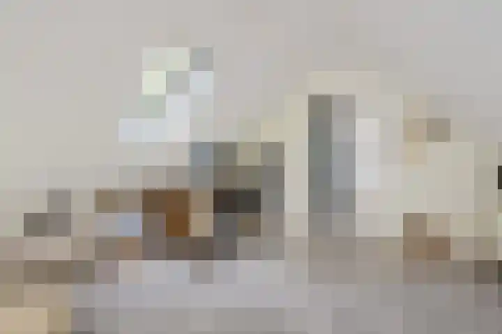 Exloërweg 32 Valthe thumbnail 34