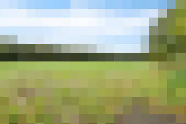 Exloërweg 32 Valthe thumbnail 37
