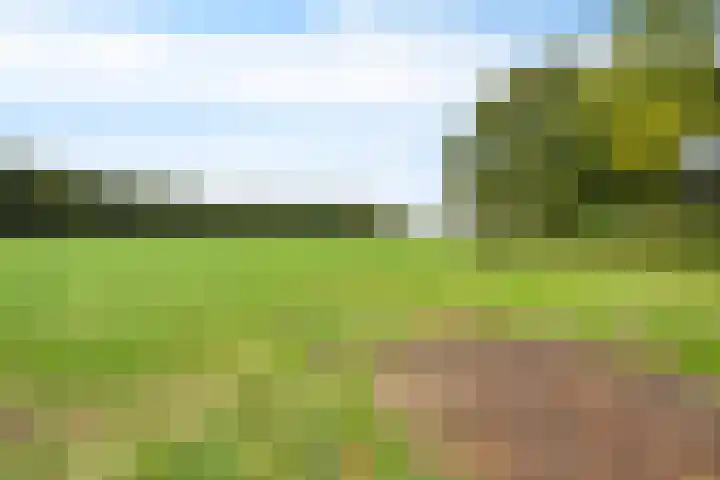 Exloërweg 32 Valthe thumbnail 38