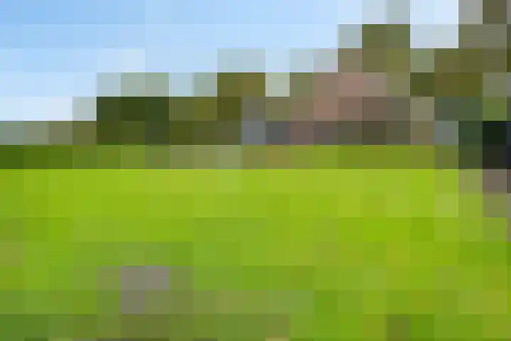 Exloërweg 32 Valthe thumbnail 40