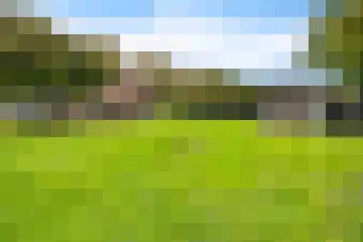 Exloërweg 32 Valthe thumbnail 42