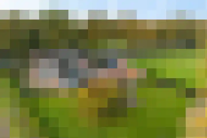 Exloërweg 32 Valthe thumbnail 53