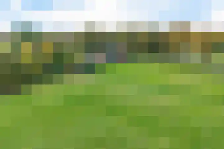 Exloërweg 32 Valthe thumbnail 54