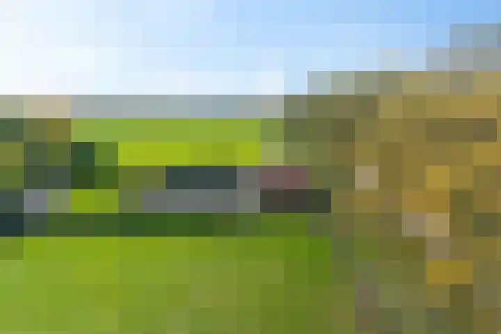 Exloërweg 32 Valthe thumbnail 55