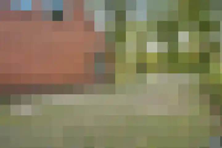 Exloërweg 32 Valthe thumbnail 56