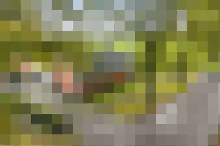 Exloërweg 32 Valthe thumbnail 59