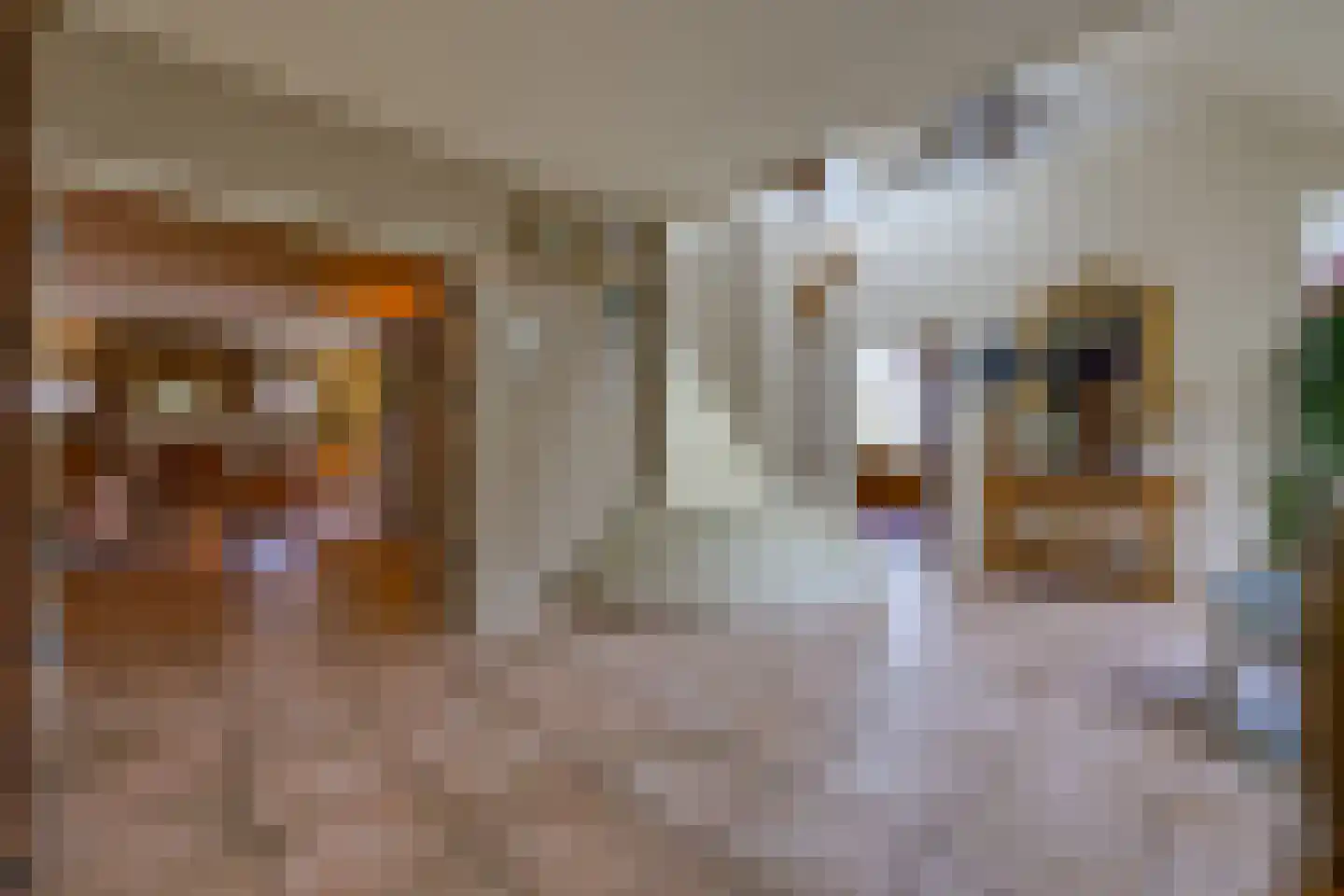 Exloërweg 8 Buinen thumbnail 17