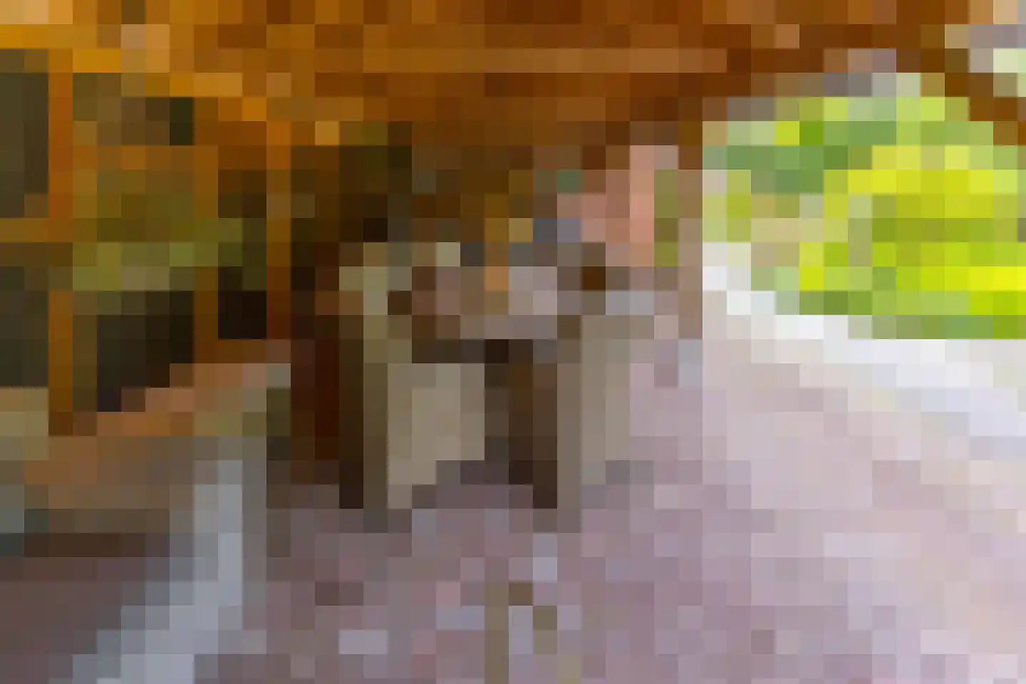 Exloërweg 8 Buinen thumbnail 39