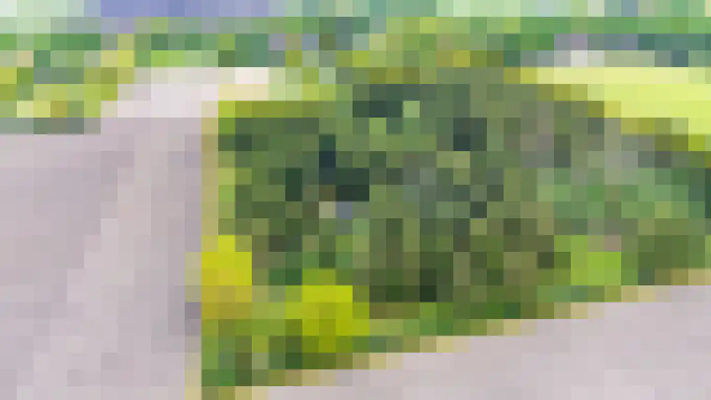 Exloërweg 8 Buinen thumbnail 4