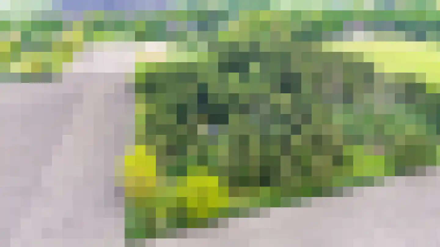 Exloërweg 8 Buinen thumbnail 4