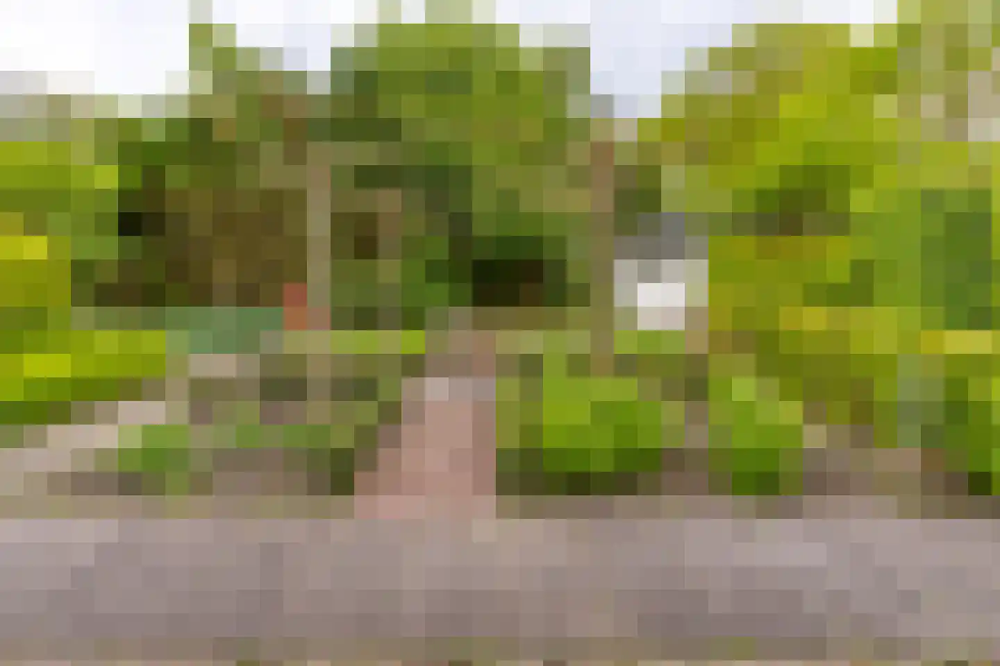 Exloërweg 8 Buinen thumbnail 40