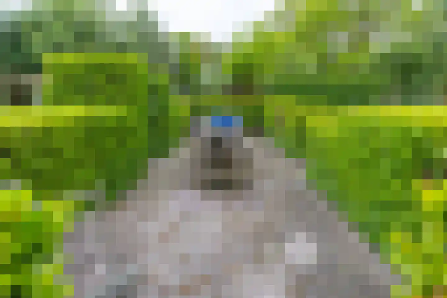 Exloërweg 8 Buinen thumbnail 42