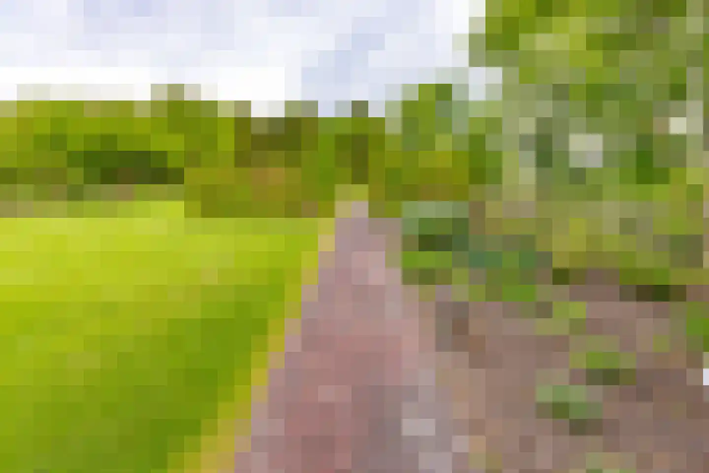 Exloërweg 8 Buinen thumbnail 47