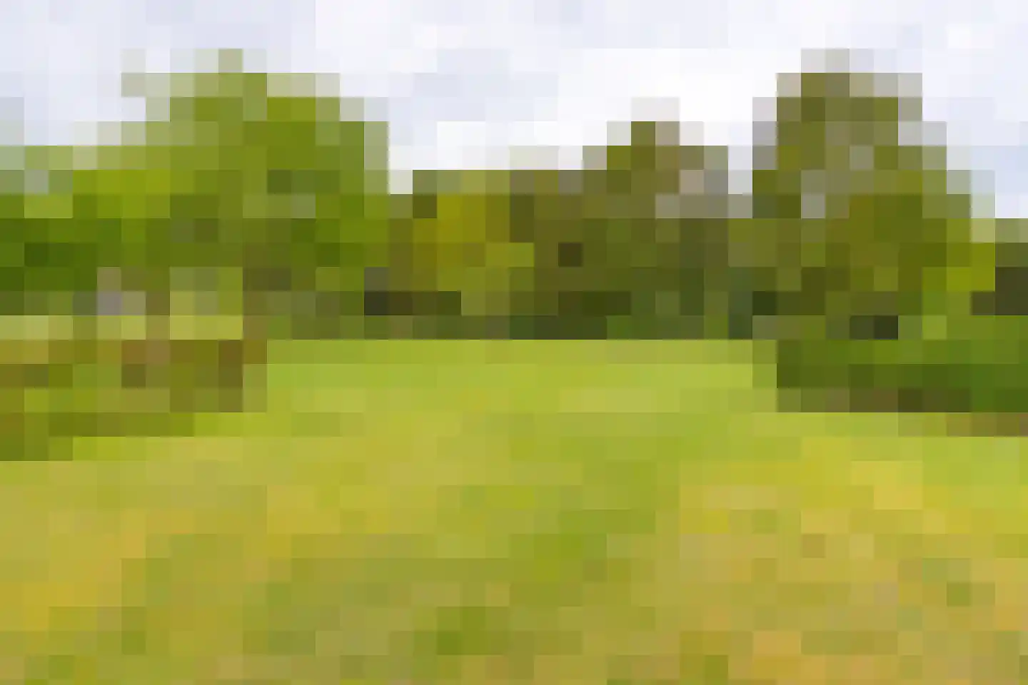Exloërweg 8 Buinen thumbnail 48