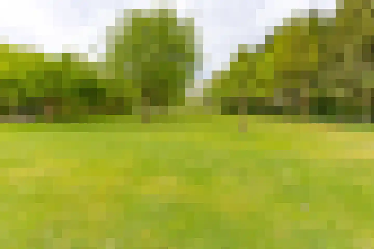 Exloërweg 8 Buinen thumbnail 49