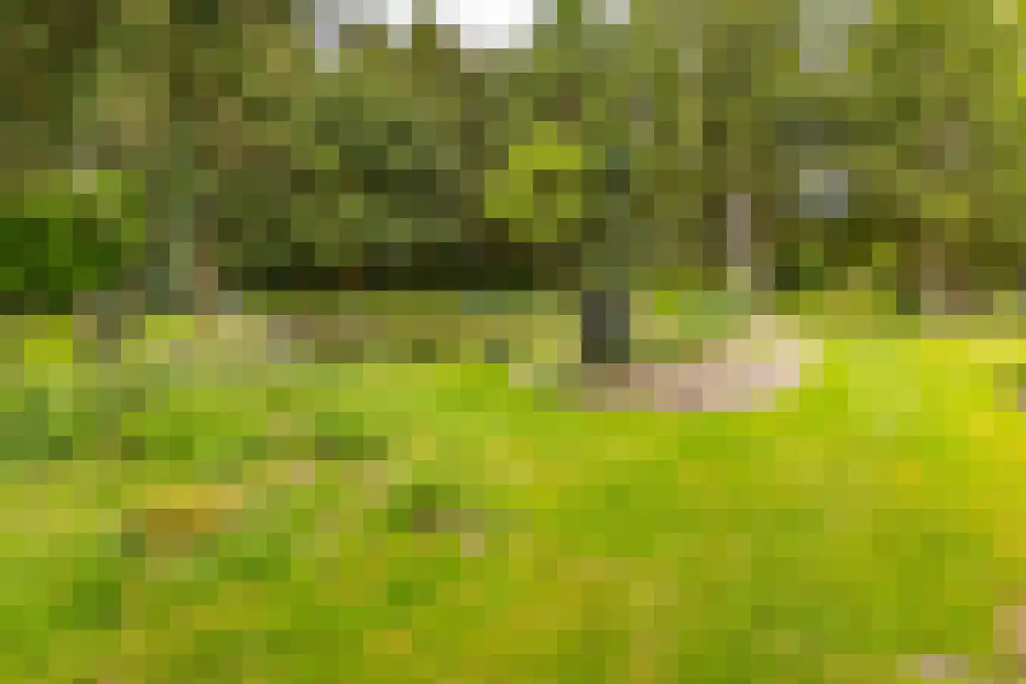 Exloërweg 8 Buinen thumbnail 50