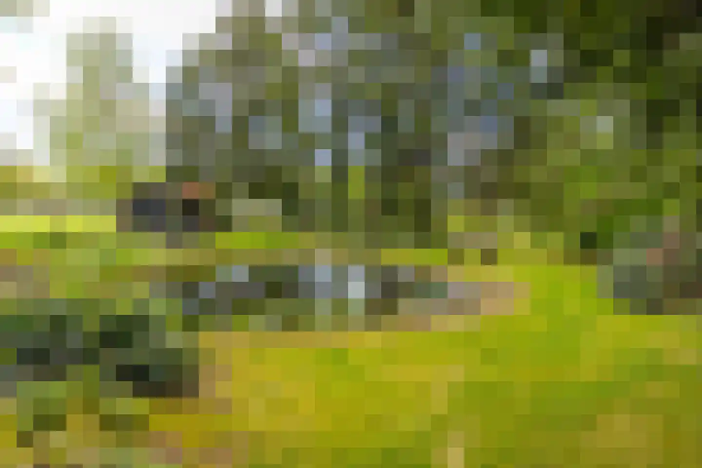 Exloërweg 8 Buinen thumbnail 51