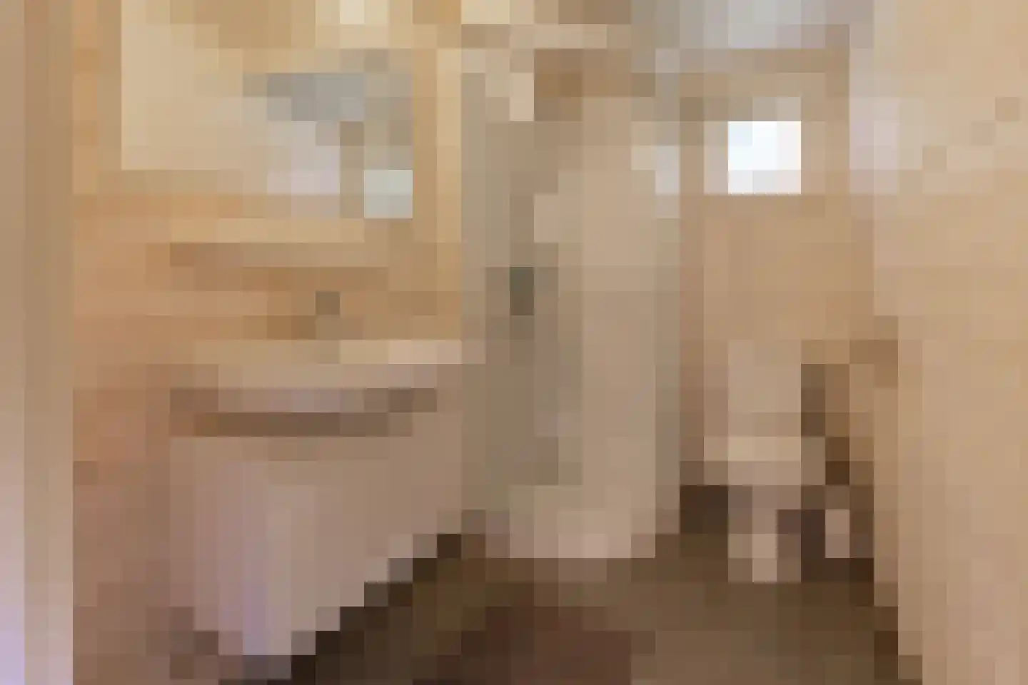 Exloërweg 8 Buinen thumbnail 59