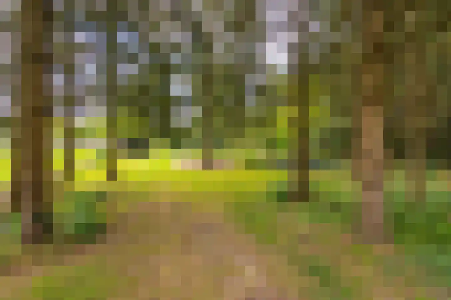 Exloërweg 8 Buinen thumbnail 60