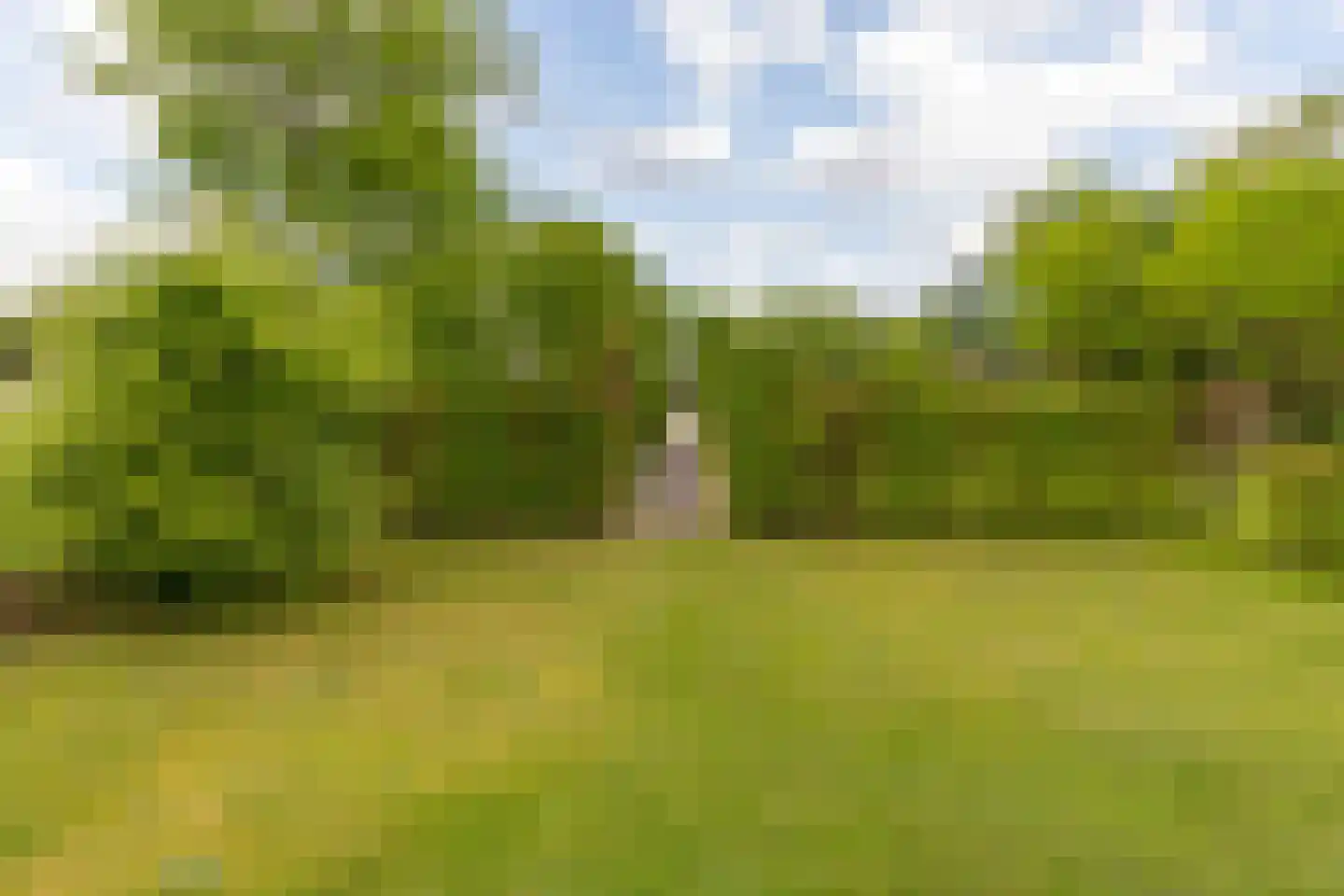 Exloërweg 8 Buinen thumbnail 61