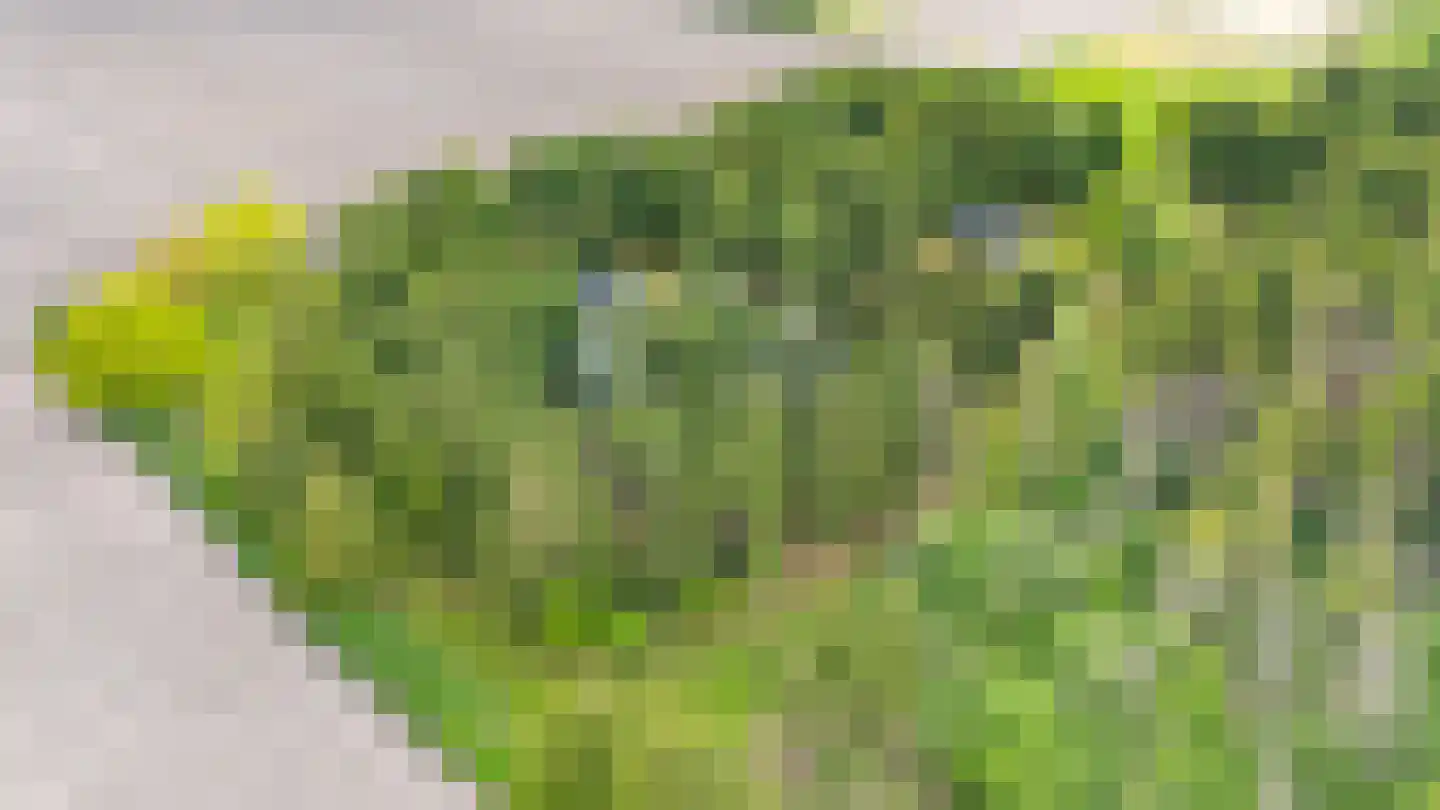Exloërweg 8 Buinen thumbnail 63