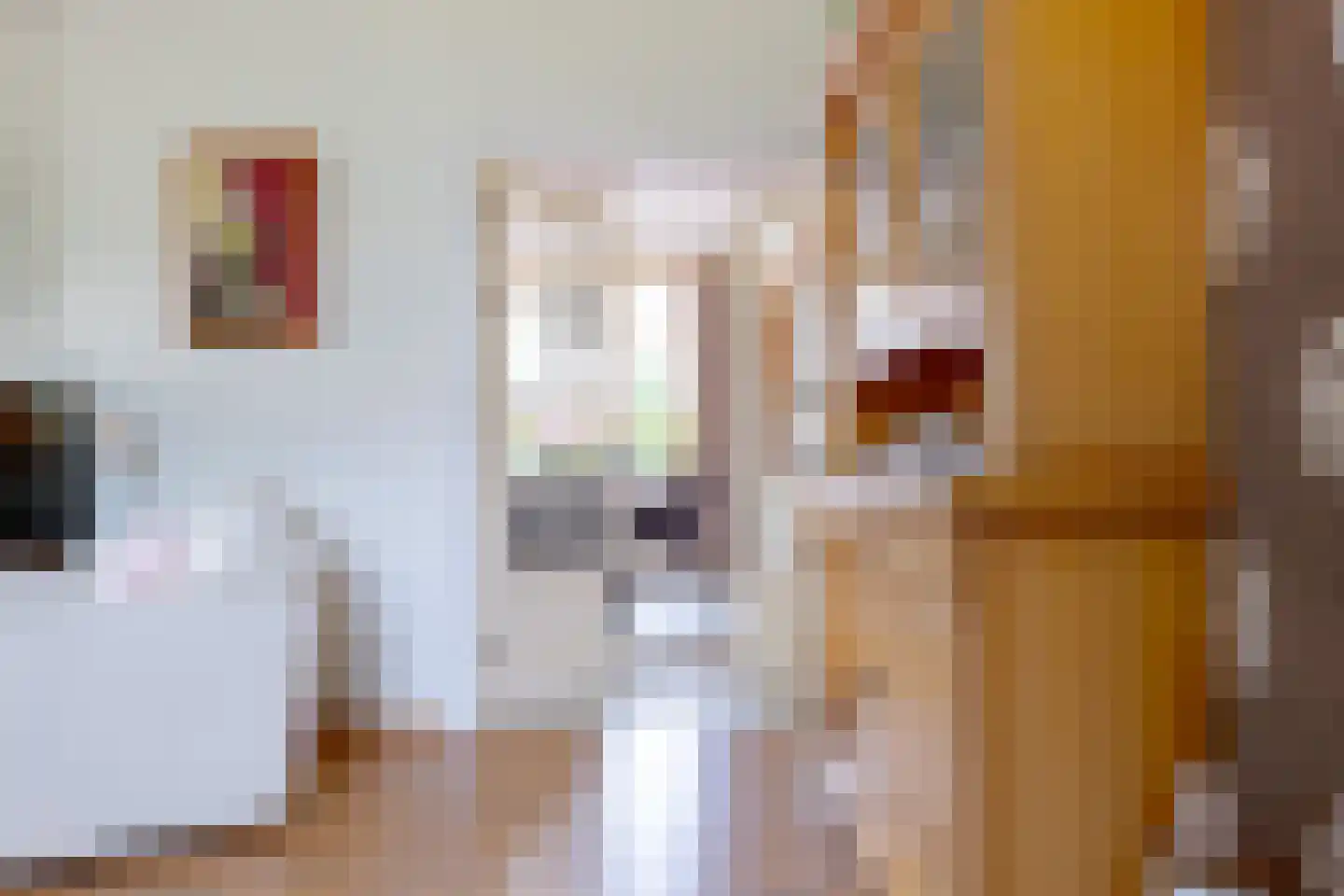 Exloërweg 9 Buinen thumbnail 20