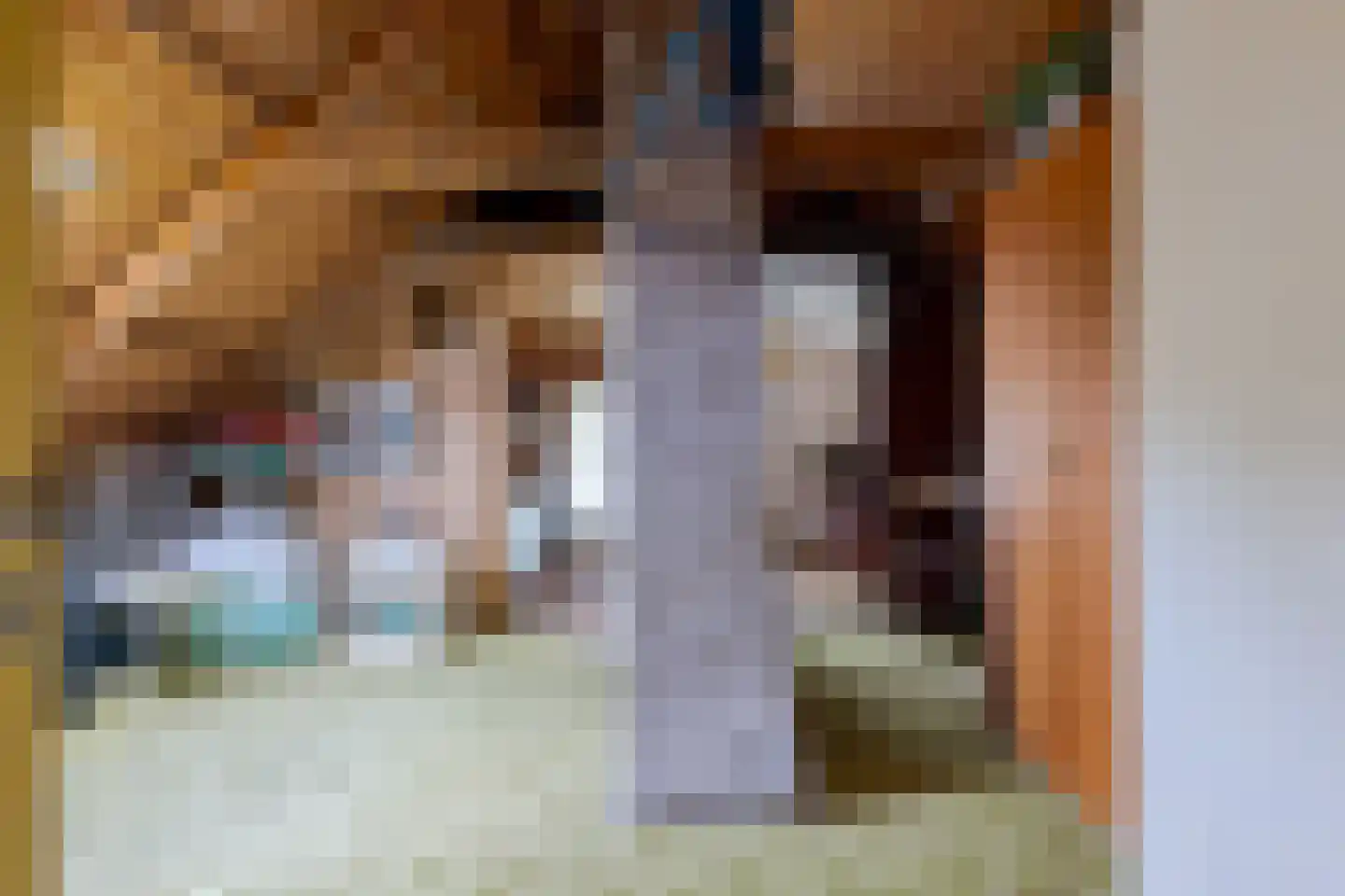 Exloërweg 9 Buinen thumbnail 48