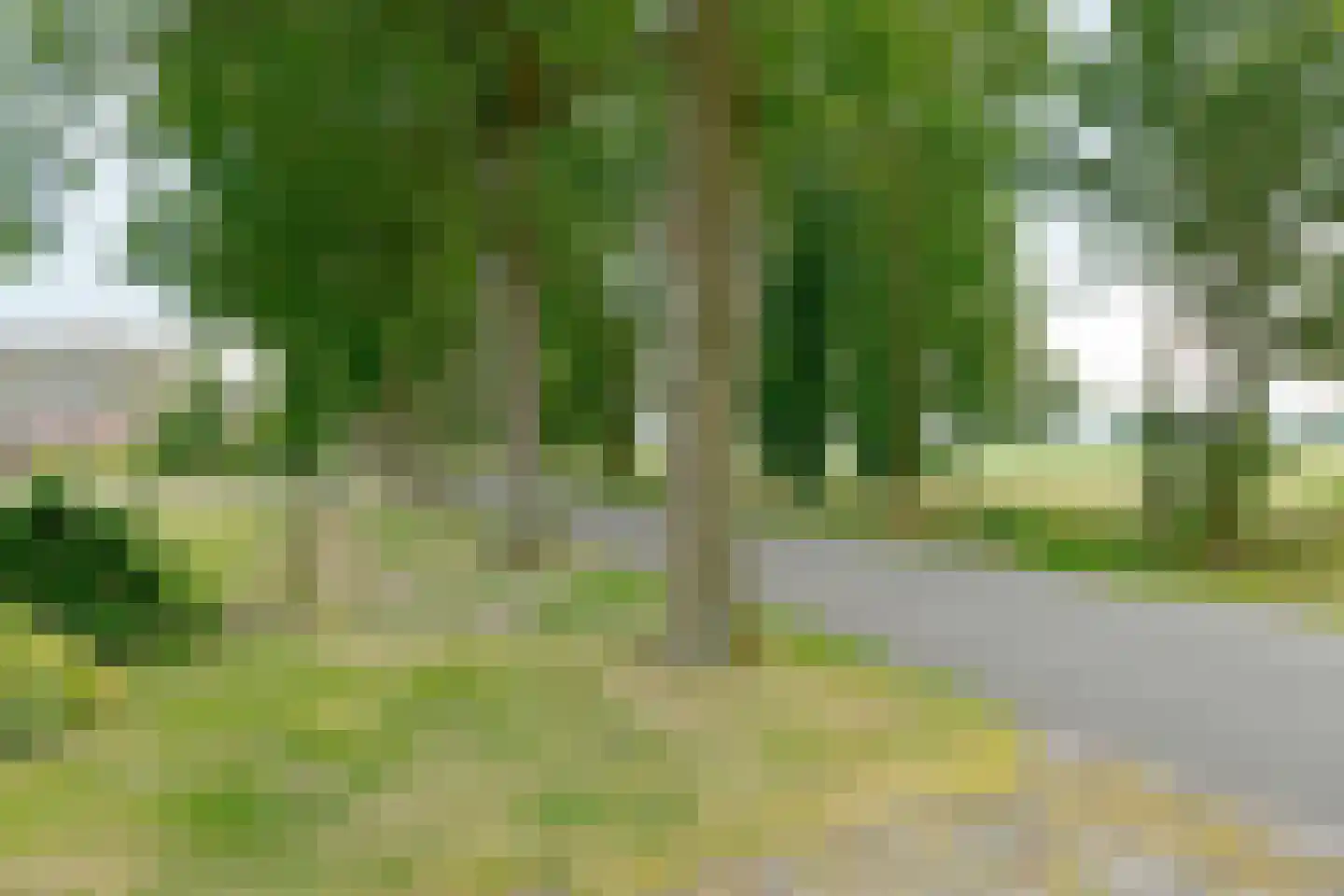 Exloërweg 9 Buinen thumbnail 5