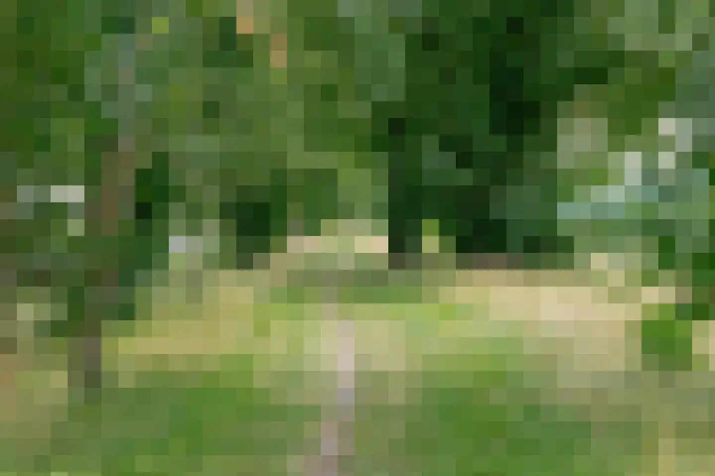 Exloërweg 9 Buinen thumbnail 6