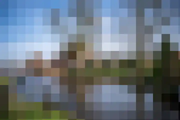 Exmorrazijl 8 in Exmorra