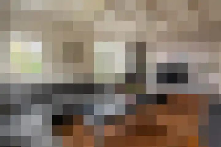 Exmorrazijl 8 Exmorra thumbnail 10