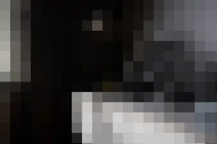 Exmorrazijl 8 Exmorra thumbnail 12