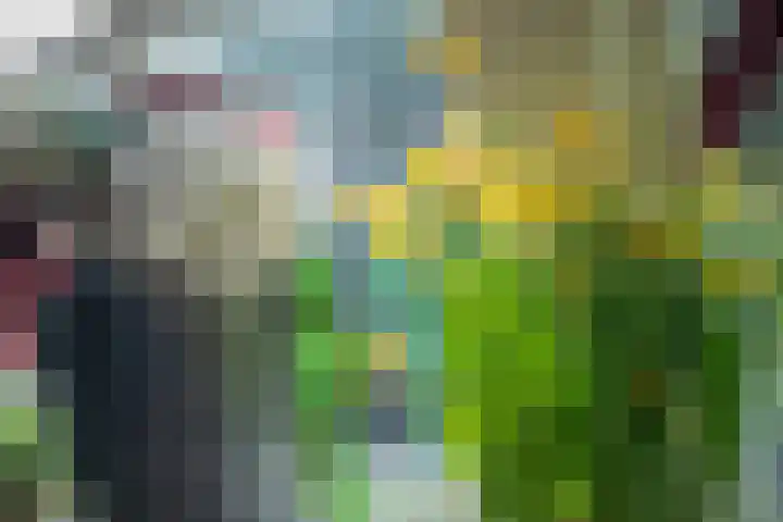 Exmorrazijl 8 Exmorra thumbnail 13