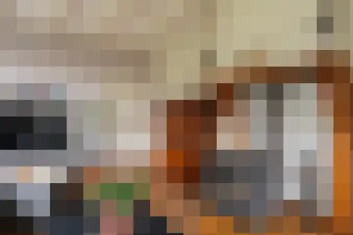 Exmorrazijl 8 Exmorra thumbnail 14