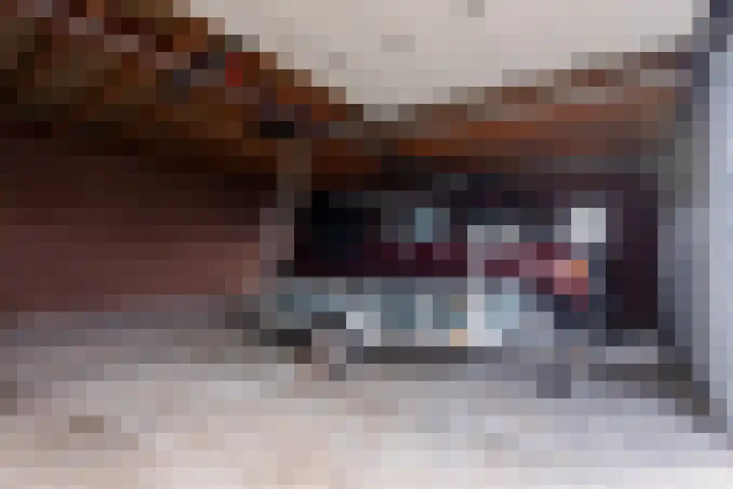 Exmorrazijl 8 Exmorra thumbnail 15