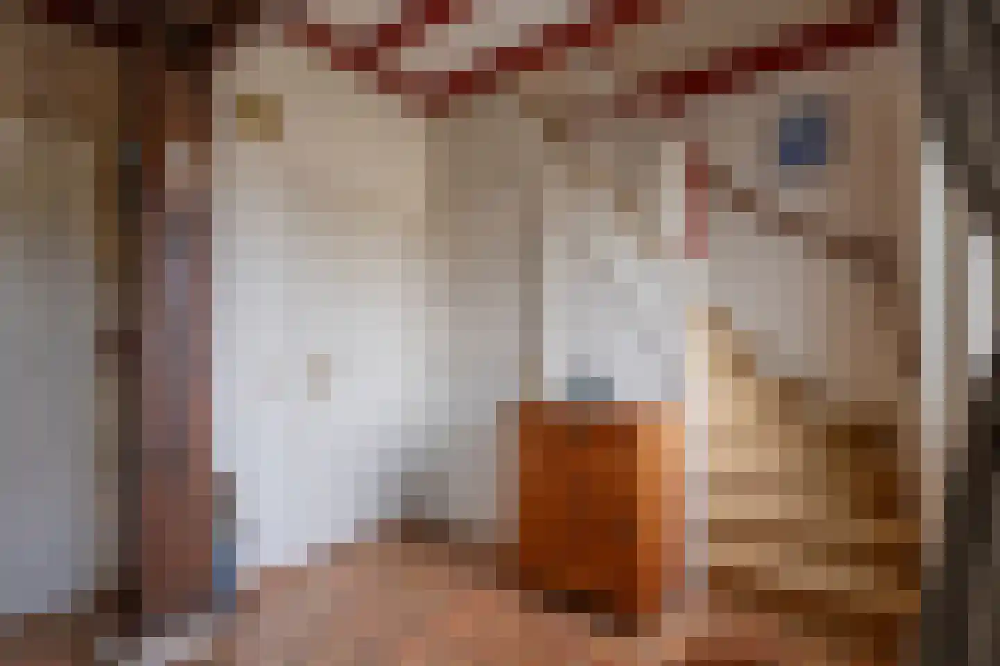 Exmorrazijl 8 Exmorra thumbnail 17