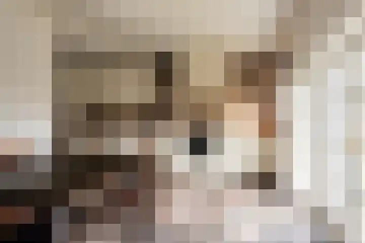Exmorrazijl 8 Exmorra thumbnail 17