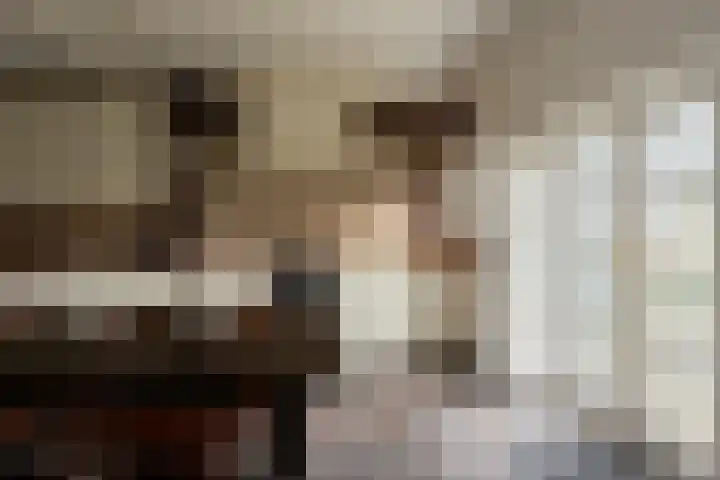 Exmorrazijl 8 Exmorra thumbnail 18