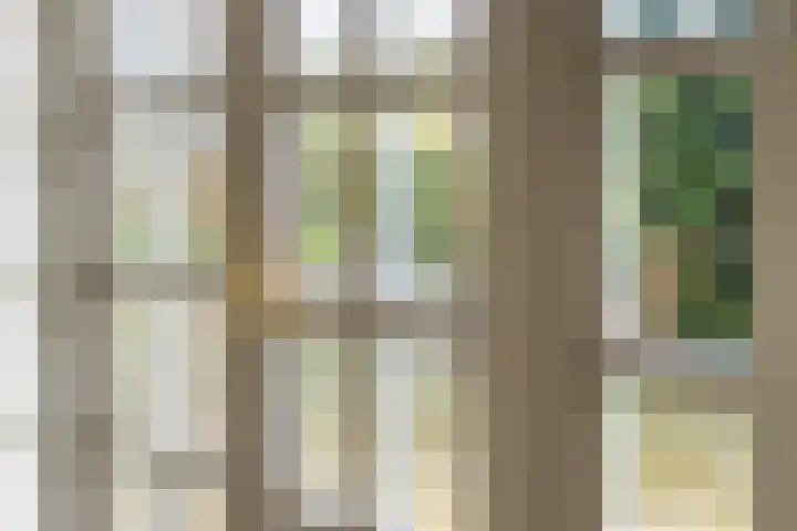Exmorrazijl 8 Exmorra thumbnail 20
