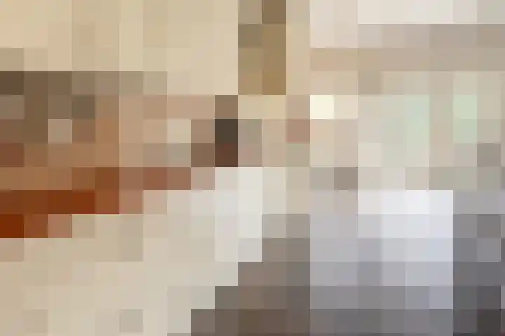 Exmorrazijl 8 Exmorra thumbnail 22