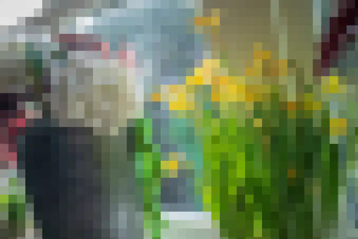 Exmorrazijl 8 Exmorra thumbnail 22